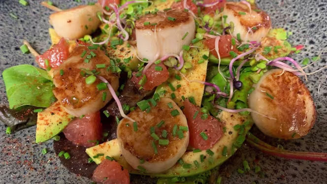 Le O2 Verdun - Biarritz - 0