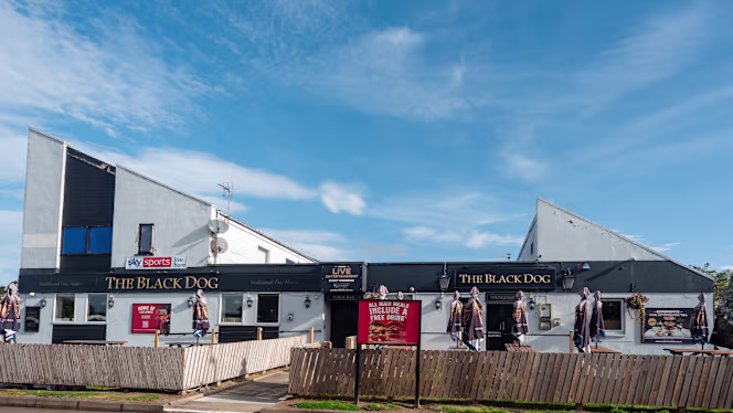 Black Dog Aberdeen - 6