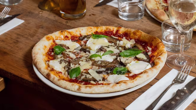 Papilla Brochant - 4