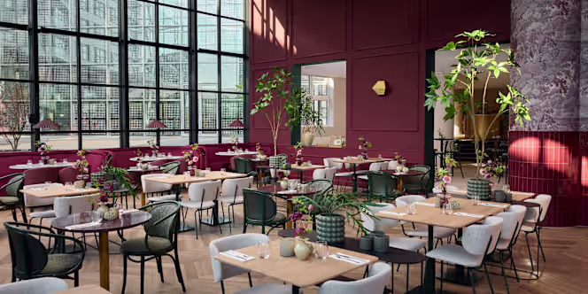 Restaurant Plume - 5
