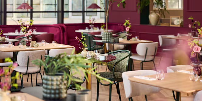 Restaurant Plume - 7
