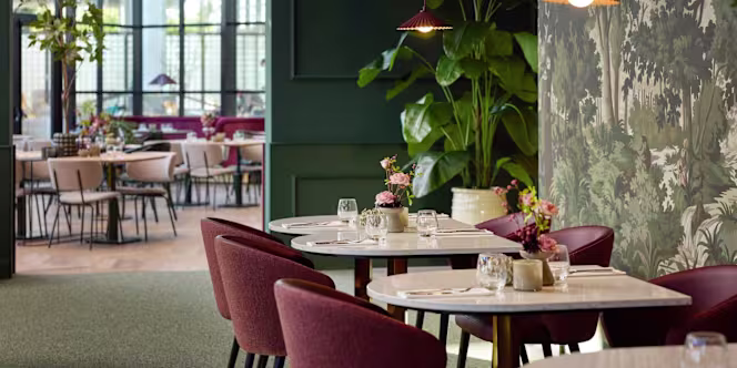 Restaurant Plume - 6