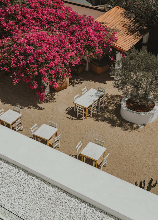 Tantán Ibiza - 0