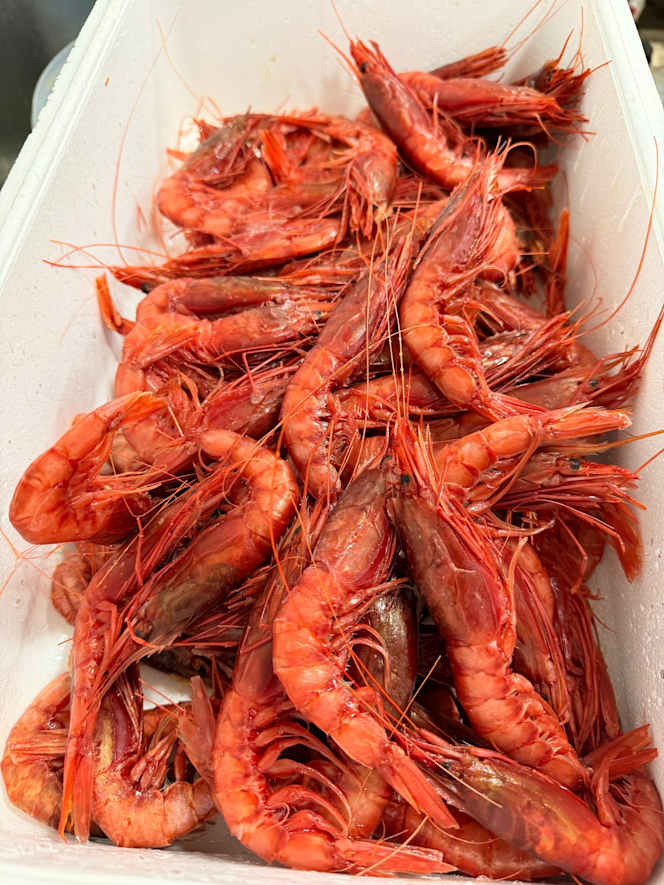 Trattoria del pesce - 1