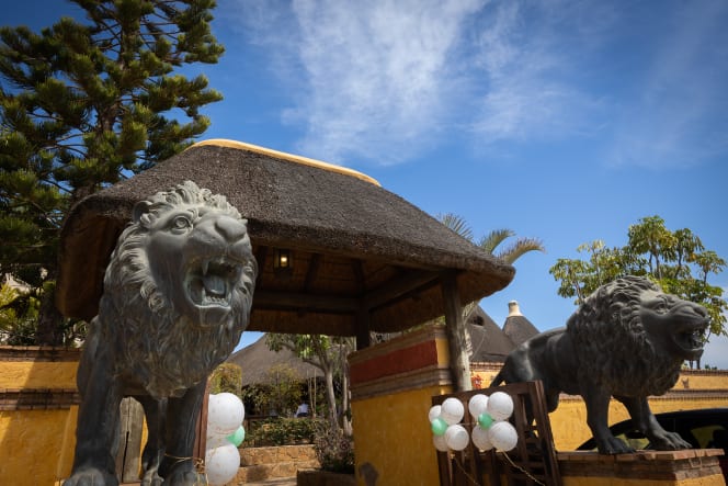 El Club Cocodrilo - 5