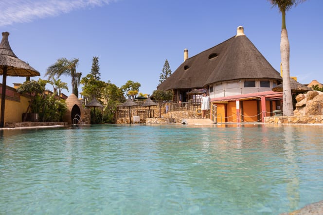 El Club Cocodrilo - 8