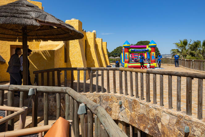 El Club Cocodrilo - 2