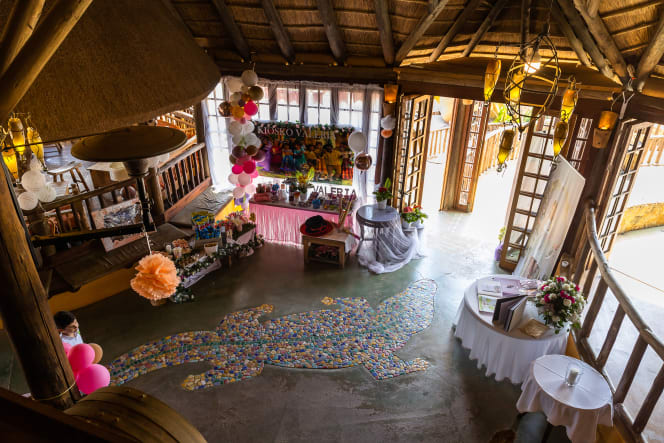 El Club Cocodrilo - 1