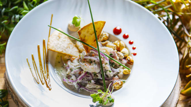 Origen Tapas Concept - 3