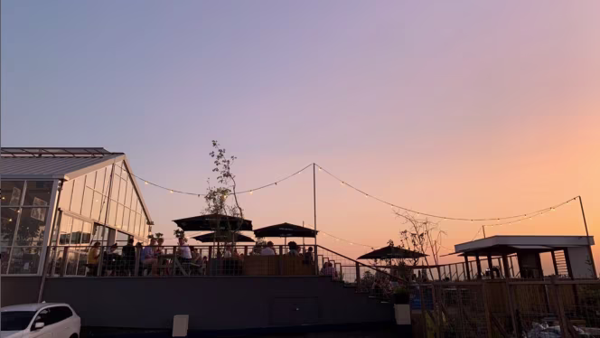 DeDAKKAS - Haarlem - 0