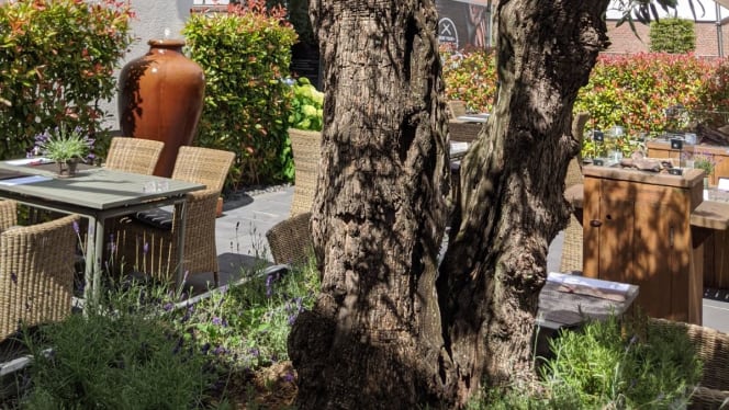 Hotel & Restaurant Schmachtendorf - 2