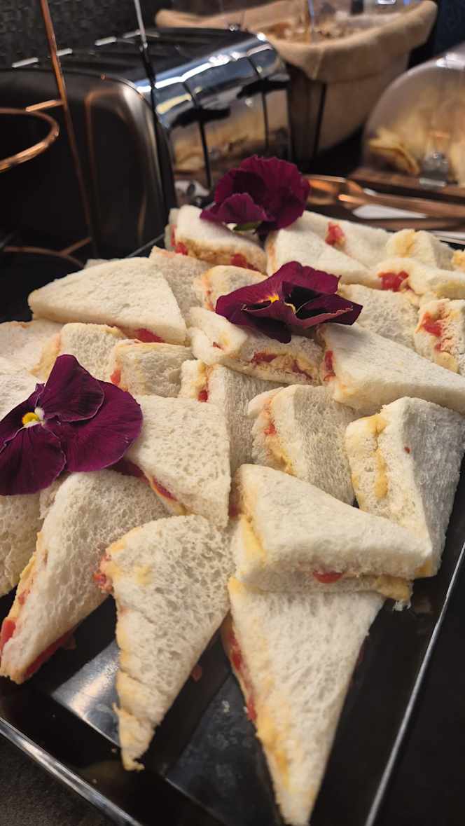 Vis Lounge Cafè - 7