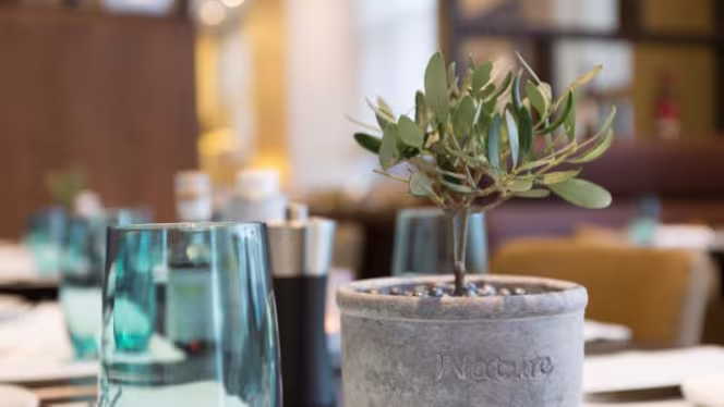 Cantinetta trattoria & bar - 1