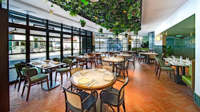Olea Social - 7