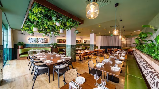 Olea Social - 8
