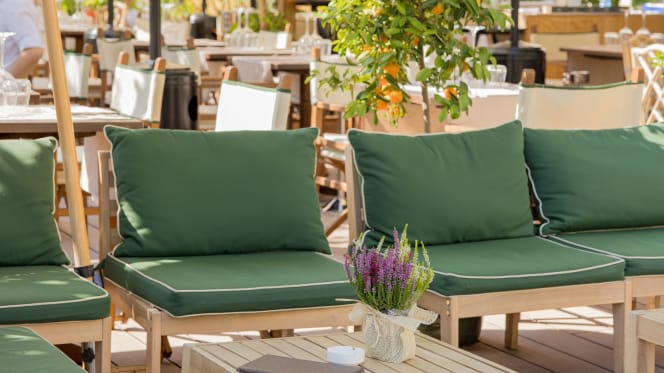 Casamare  Forte Dei Marmi - 6