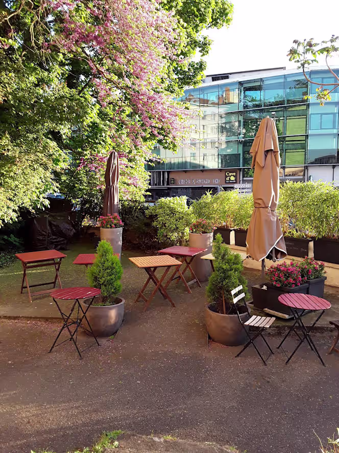 La Terrasse De Rochecardon - Restaurant - Lyon