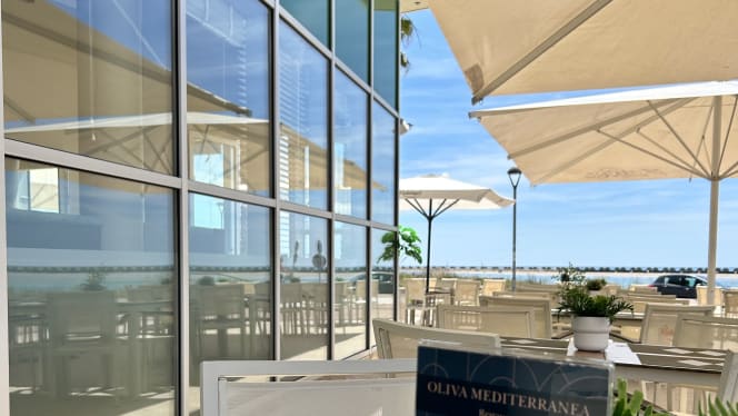 Oliva Mediterranea - 6