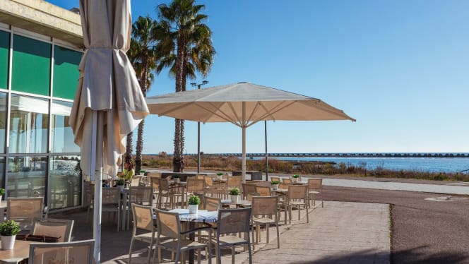 Oliva Mediterranea - 9