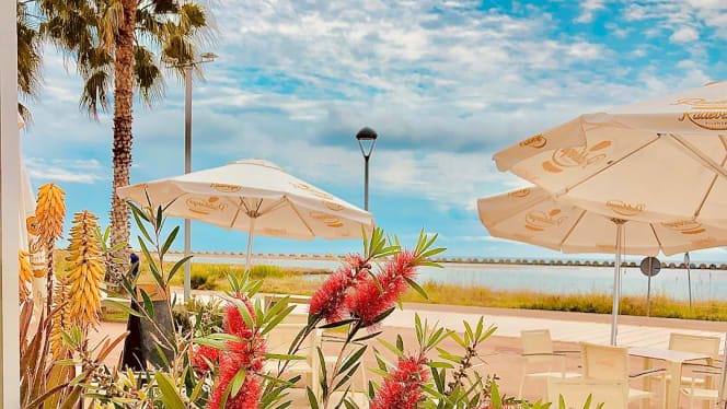 Oliva Mediterranea - 8