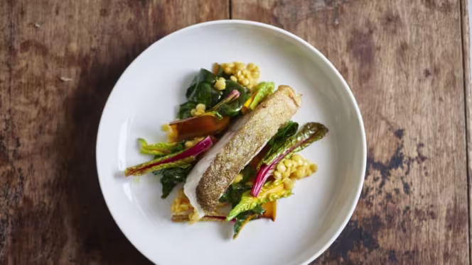 Biorestaurant Macis - 2