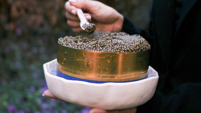 Dos Cucharas - Barcelona - Barcelona - 1