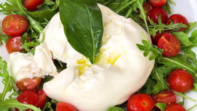 Le Garnier - Niza - 8