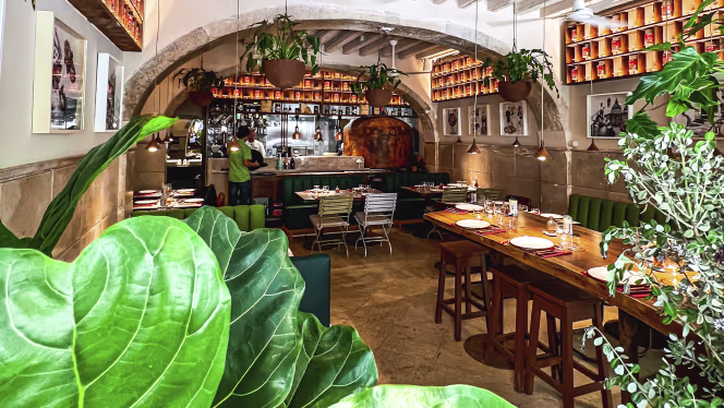 Pizzaiollo São Nicolau by Fullest - 0