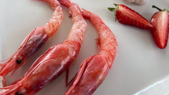 La Bottega Del Mare - 1
