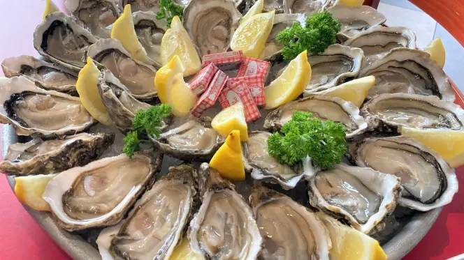 Le Plana - Bordeaux - 0