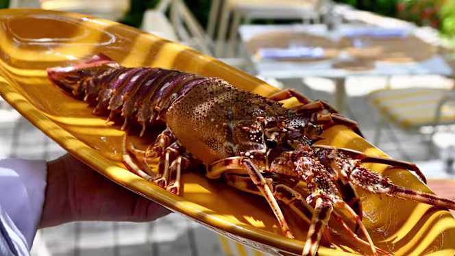 Bar du soleil - Hyeres - 4