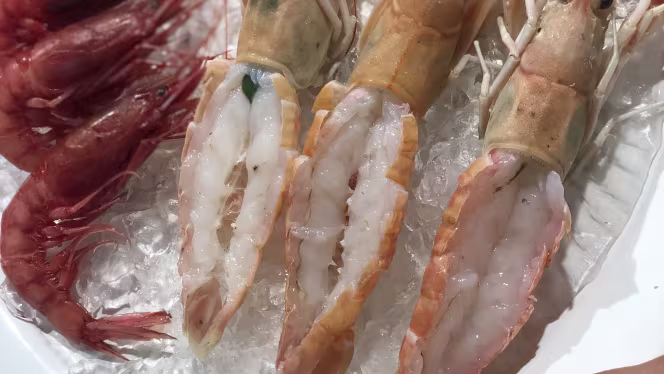 L'antica bottega - 1