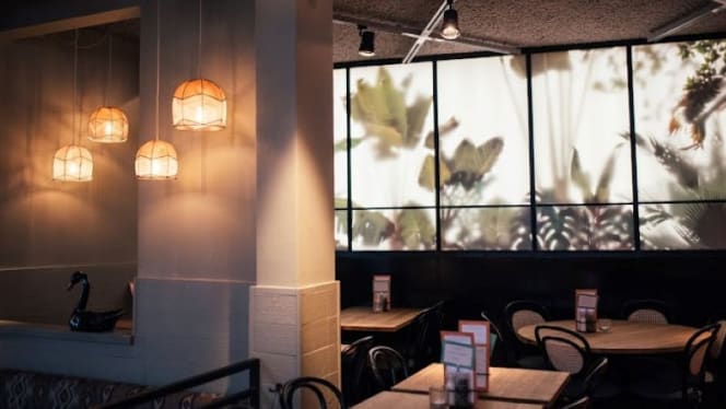 Popocatepetl Utrecht - 3