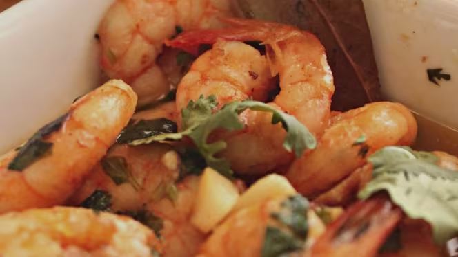 Maria Azeitona - Amadora - 9