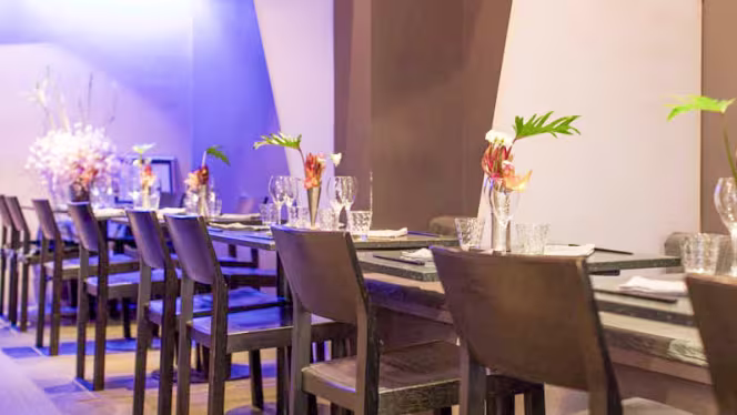 Sous les Cerisiers - 5