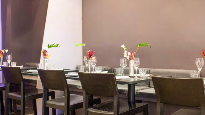 Sous les Cerisiers - 2