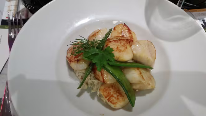 les jardins de l'Arcadie - 7