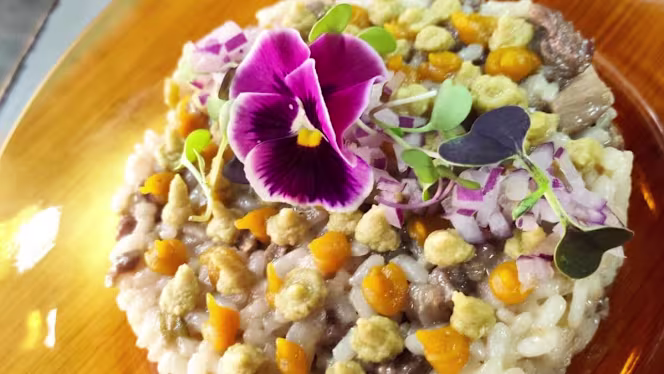 La Canita DH - Dos Hermanas - 8