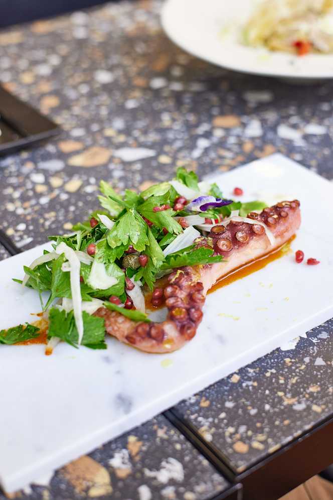 Tosi Gorgonzola Bar - 3