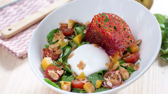 La Nicoletta - Valladolid - 1