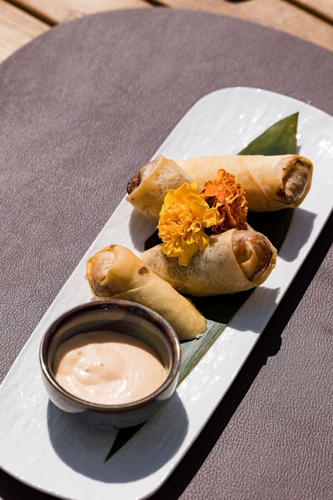 Dapè Porto Cesareo - 3