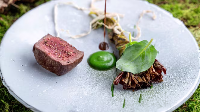 Alain Ducasse at The Dorchester - 1
