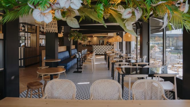 Forest, Pizza & Coffee Culture - 7