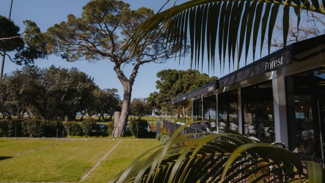 Forest, Pizza & Coffee Culture - 0