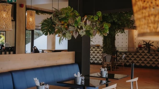 Forest, Pizza & Coffee Culture - 6