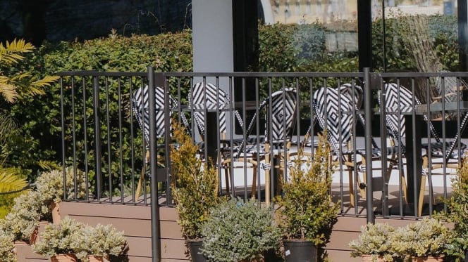 Forest, Pizza & Coffee Culture - 9