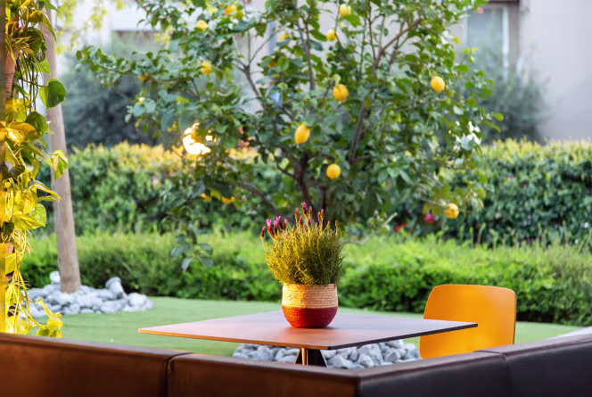 GoTà restaurant - 4