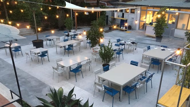 Schiaccino - Prato - 0