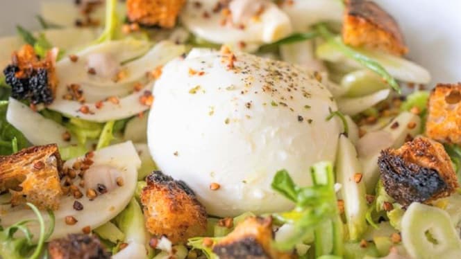 Schiaccino - Prato - 7