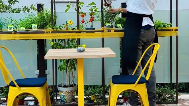 Sicilia Bedda Trieste Salario - 4